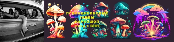 метадон Аркадак