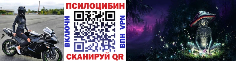 Псилоцибиновые грибы Psilocybine cubensis  Купить  Полярные Зори 